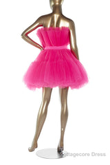 Hot Pink A-line Short Tulle Party Dress