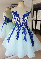 Ball Gown Princess Illusion Neck Sleeveless Organza Knee-Length Homecoming Dress With Appliqued