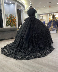 Black quincea帽era dress Ball Gown Prom Dresses Evening Gown