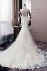 Autumn Long Sleevess Mermaid Lace appliques Ivory Wedding Dress