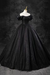 Black Tulle Floor Length A-Line Prom Dress, Off the Shoulder Evening Party Dress