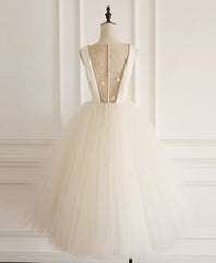 Light Champagne Tulle Short Prom Dress Tulle Homecoming Dress