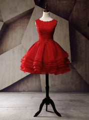 Short Homecoming Dress Organza Homecoming Dress Lace Homecoming Dress